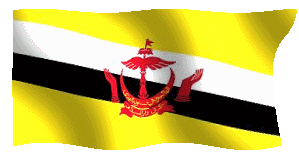 bruneiflag